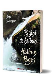 Pagini de haibun/ Haibun Pages